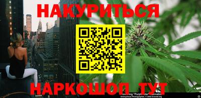 спиды Обь