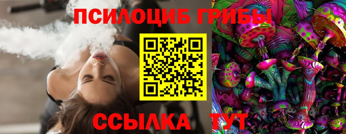 Новочебоксарск  Псилоцибиновые грибы Psilocybine cubensis  Вход с VPN 