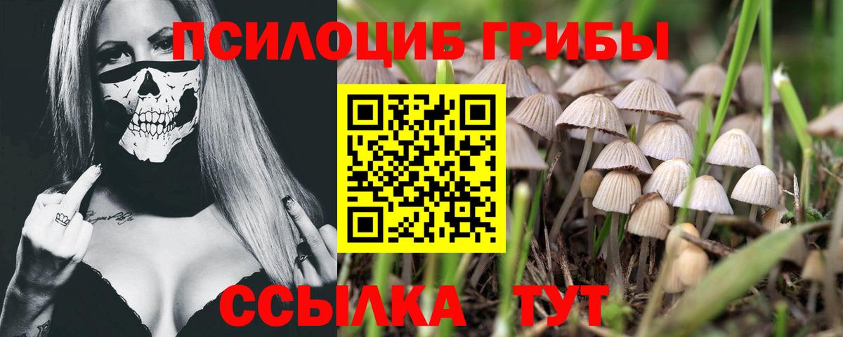 Галлюциногенные грибы GOLDEN TEACHER Новочебоксарск